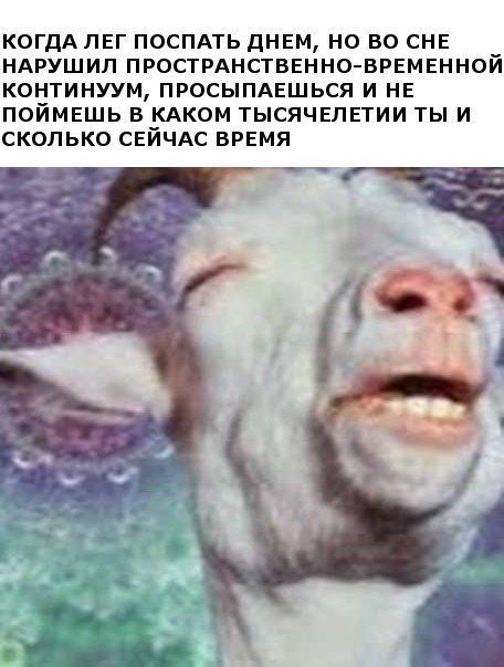 Подборка картинок. Дневной выпуск (73 фото)