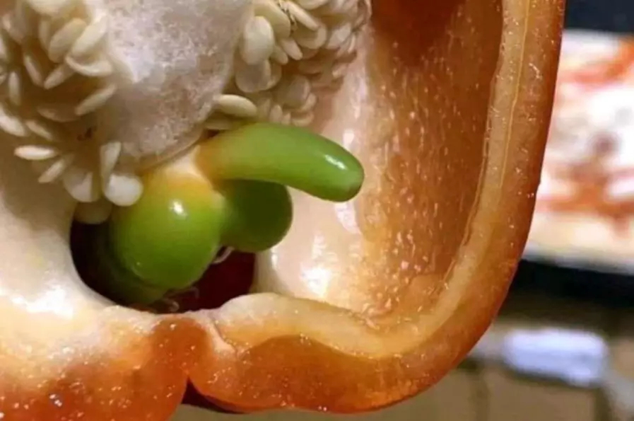 Как образуется перец в перце