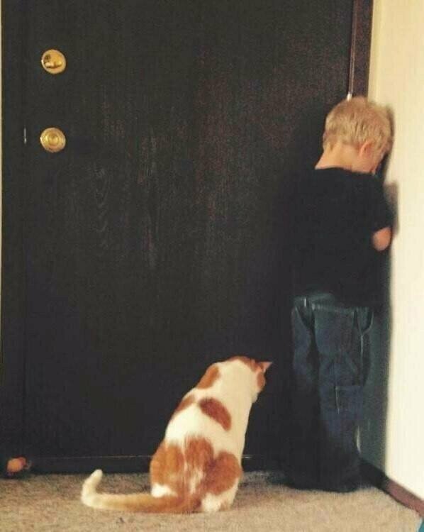 О дружбе О дружбе