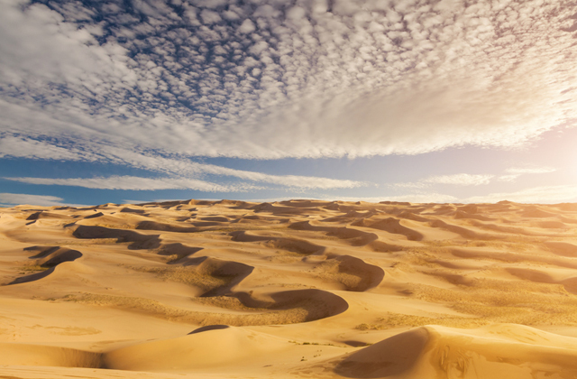 Что произойдет с Землей к 2100 году Что произойдет с Землей к 2100 году