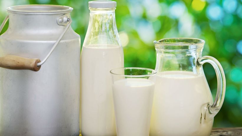 Непереносимость лактозы: почему так мало народов на Земле могут пить молоко