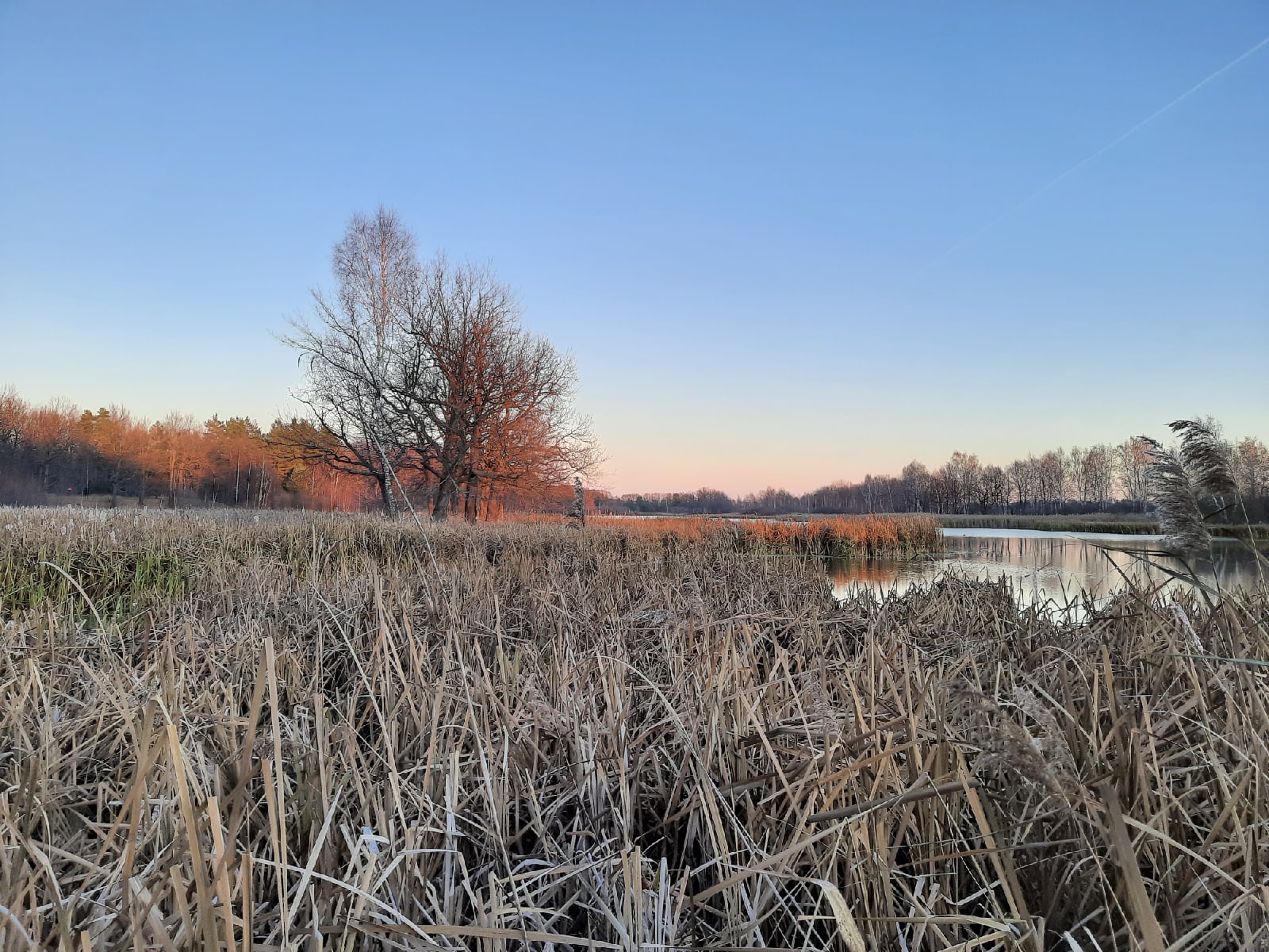 река сережа в нижегородской области