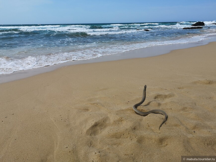 Там, где сбываются мечты поездка,путешествие,страны,туризм