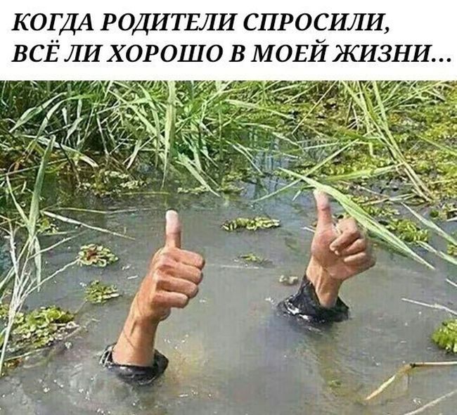 Приколы 2018 (77 фото) Приколы 2018 (77 фото)