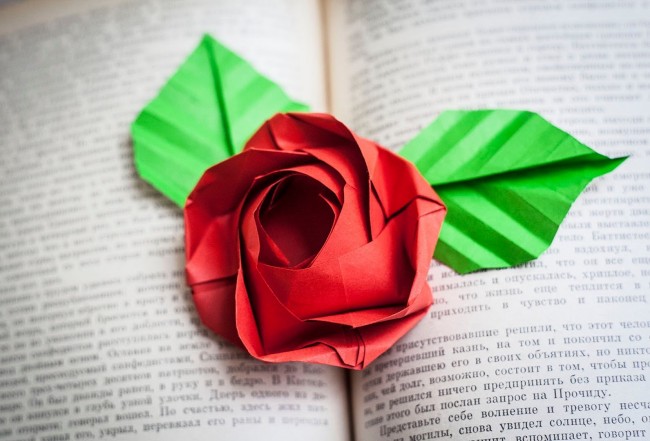 Как сделать розу из бумаги своими руками: 4 простые техники бумаги, можно, гофрированной, помощью, цветов, цветы, создания, сделать, своими, чтобы, ручной, руками, верхний, бумажных, декора, вариант, заготовку, лепестки, бутона, украшение