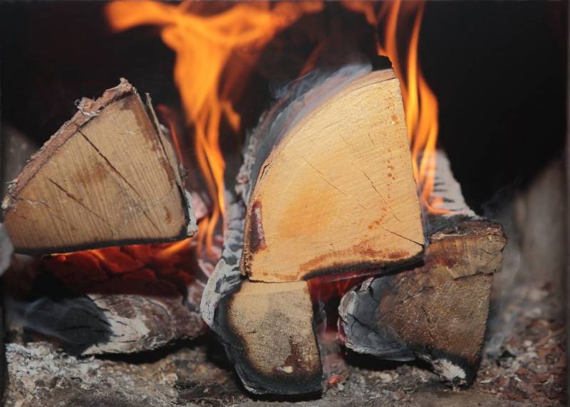 Биотопливо или нефть? На чём самолёты полетят в будущее ввс