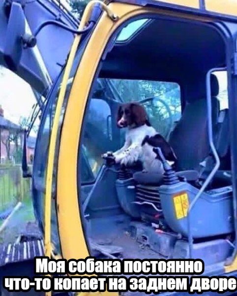 Забавные и позитивные фотографии с надписями для улыбки Забавные и позитивные фотографии с надписями для улыбки картинки с надписями,красивые фотографии,смешные комментарии,шикарные фотографии,юмор