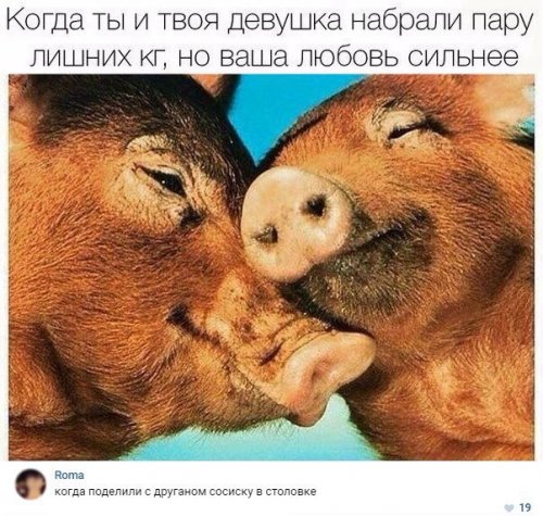 Прикольные комментарии из соцсетей (22 фото)