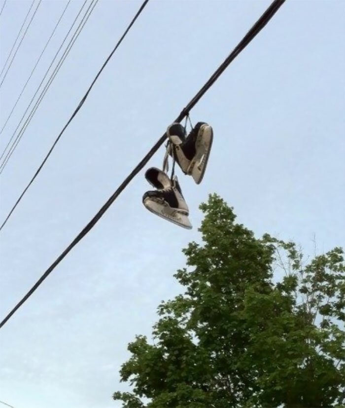 Такое бывает только в Канаде! заграница,путешествие,страны,туризм