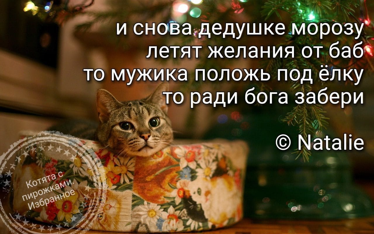 Не успели сегодня сделать комплимент женщине? Не расстраивайтесь... такой, рождество, Бирюк, через, женщиной, шесть, думаешь, всетаки, Согласен, Месье, лучше, полчаса, завтрак, звуков, Monsiеur, mаngе, jours, Воробьянинов, непонятных, абсолютно