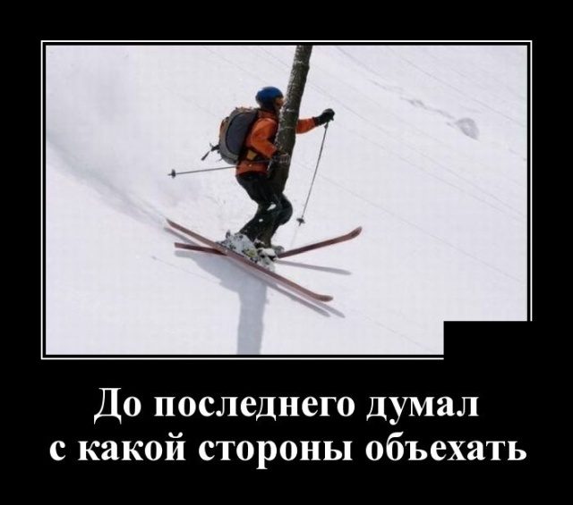 Самые улётные демотиваторы дня 