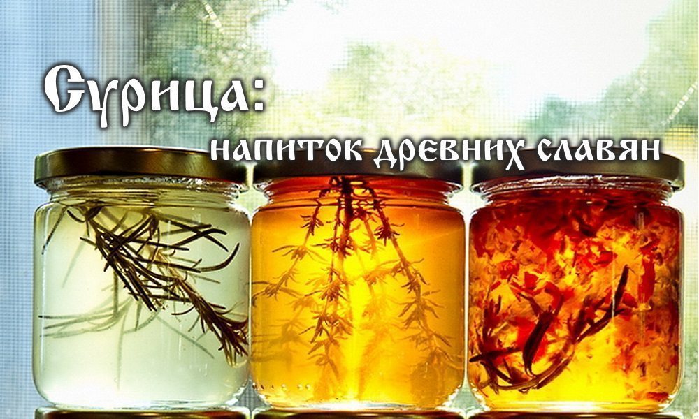 Забытые рецепты. СУРИЦА.