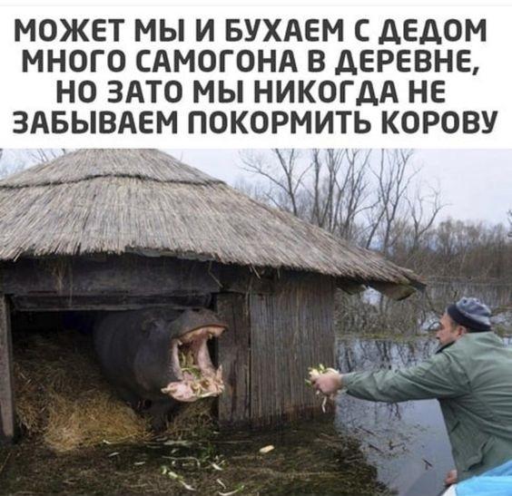 17 шуток, которые зарядят вас позитивом 17 шуток, которые зарядят вас позитивом