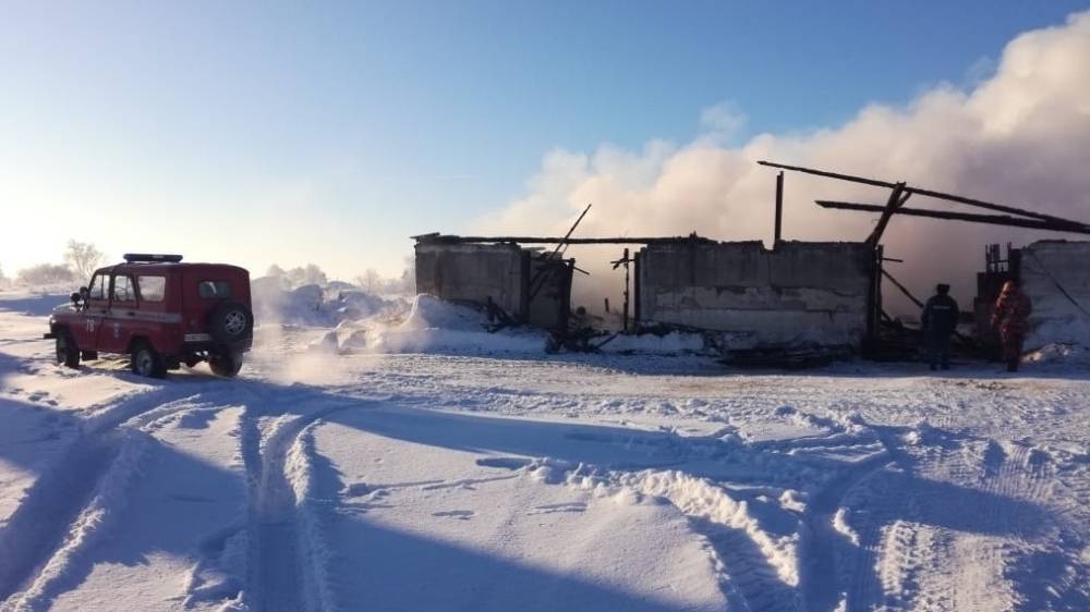 Крупная животноводческая ферма сгорела под Новосибирском, погибли десятки животных
