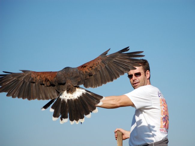 Йен Ашер, который продал свою неудачную жизнь жизненное,интересное,люди,хобби