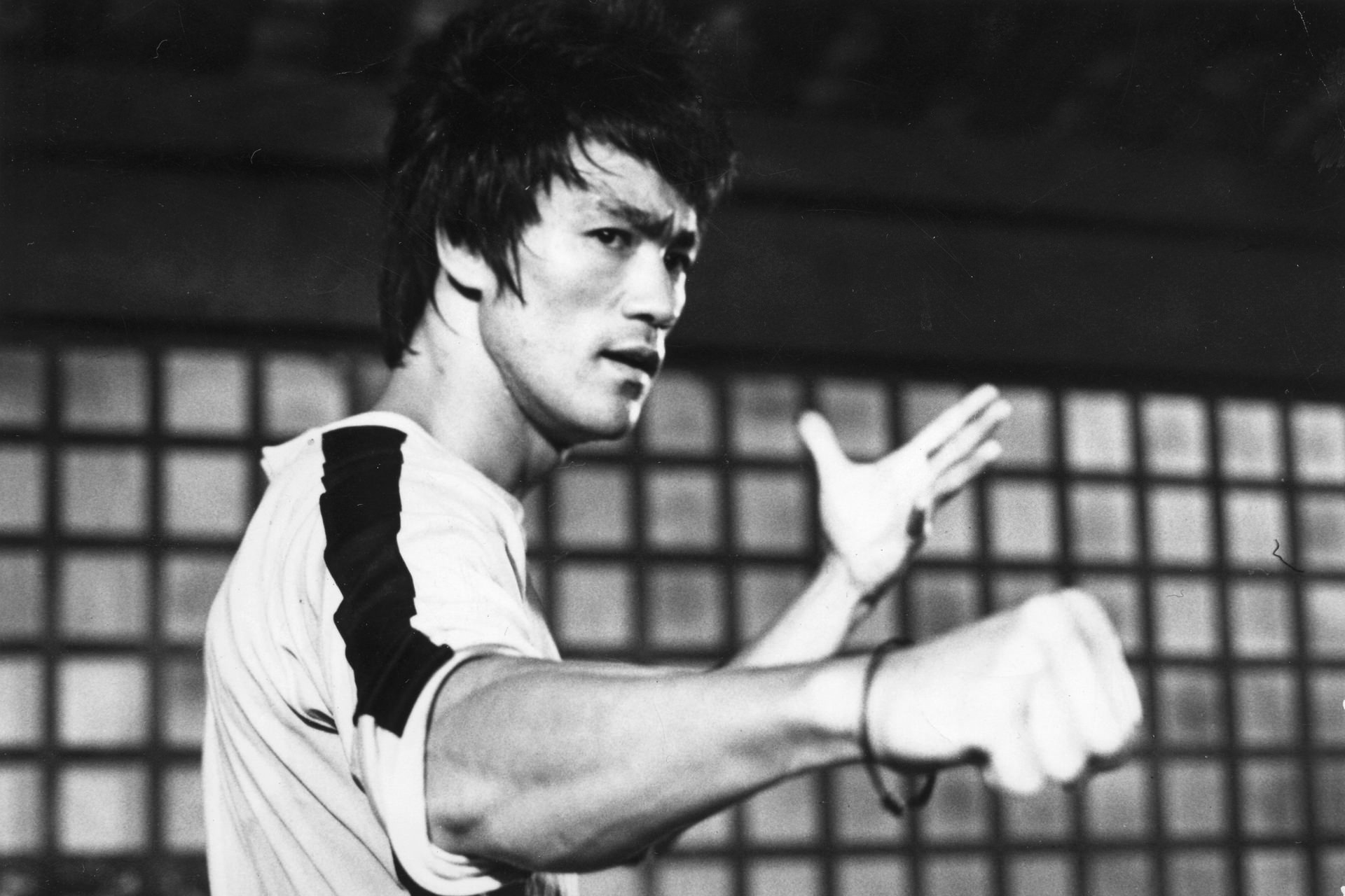 Bruce lee