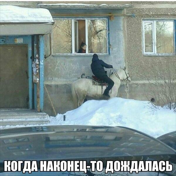 Прикольные картинки и веселые фото с надписями