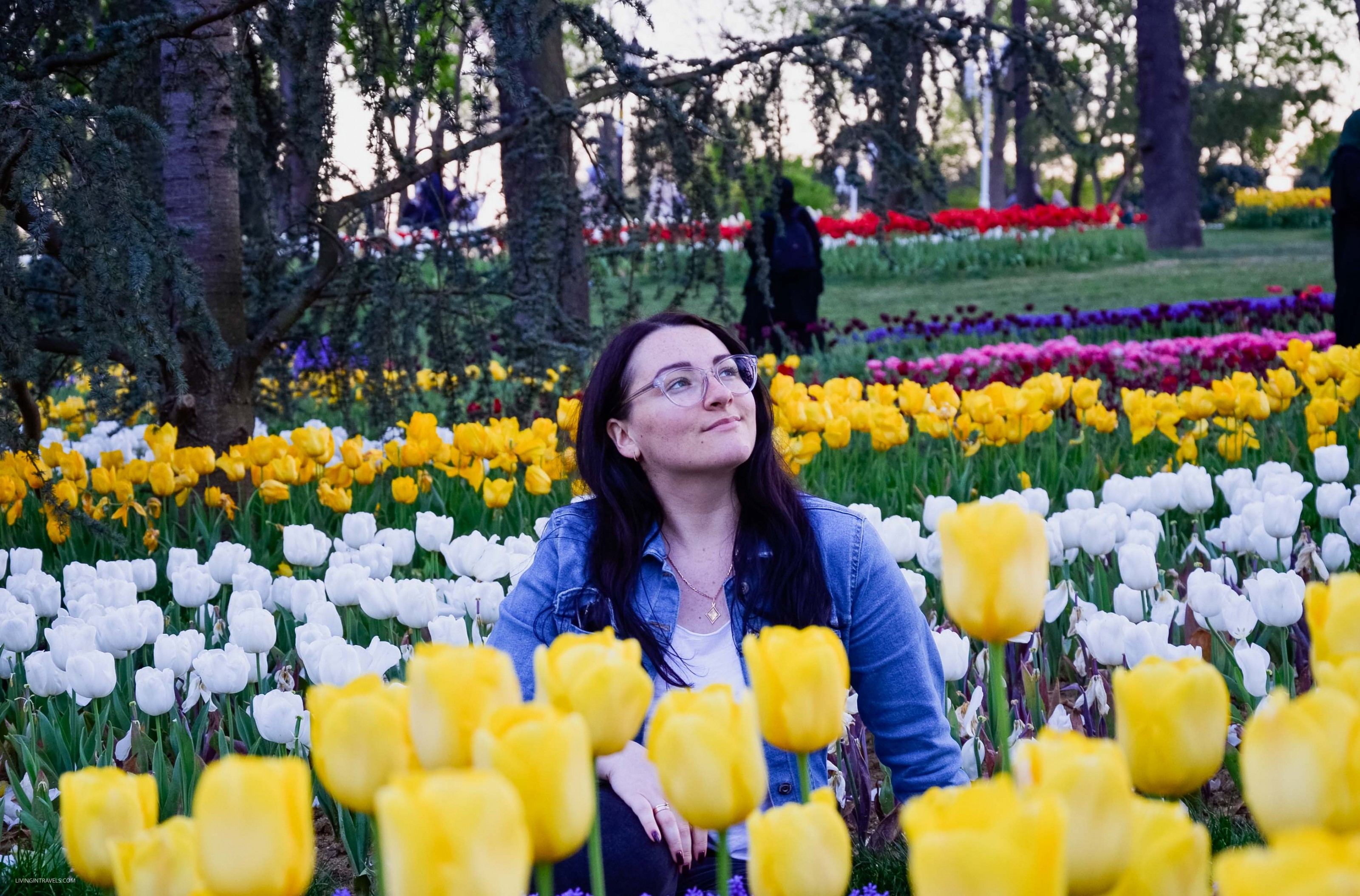 10 причин почему я не люблю Стамбул 10 причин почему я не люблю Стамбул страны,туризм