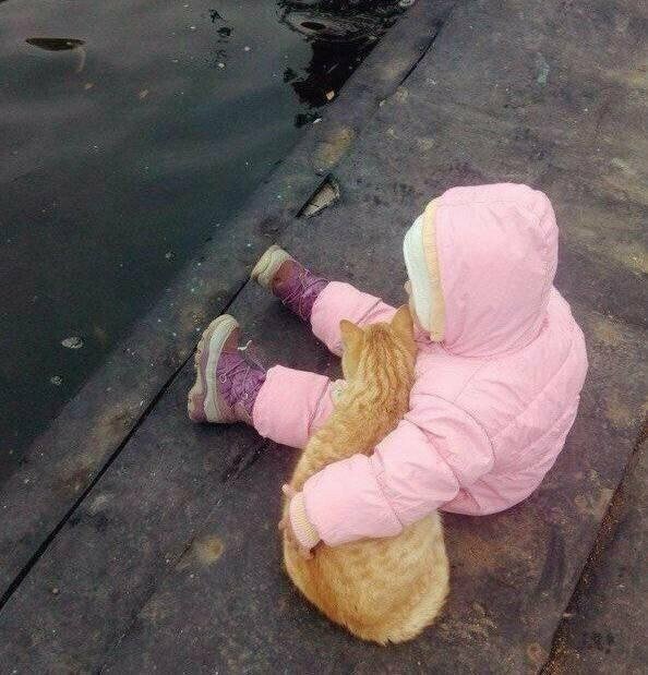 О дружбе О дружбе