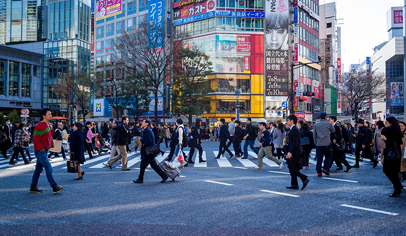 Как живут японцы и чему у них можно научиться  жизнь,интересное,общество,Япония