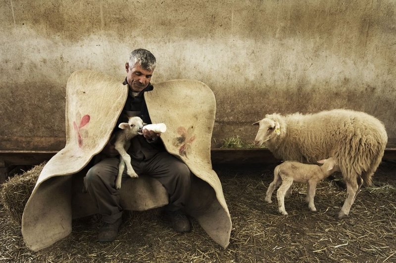 Подборка лучших фотографий, опубликованных журналом National Geographic в ноябре 2017 года national geographic, конкурс фотографии, фото