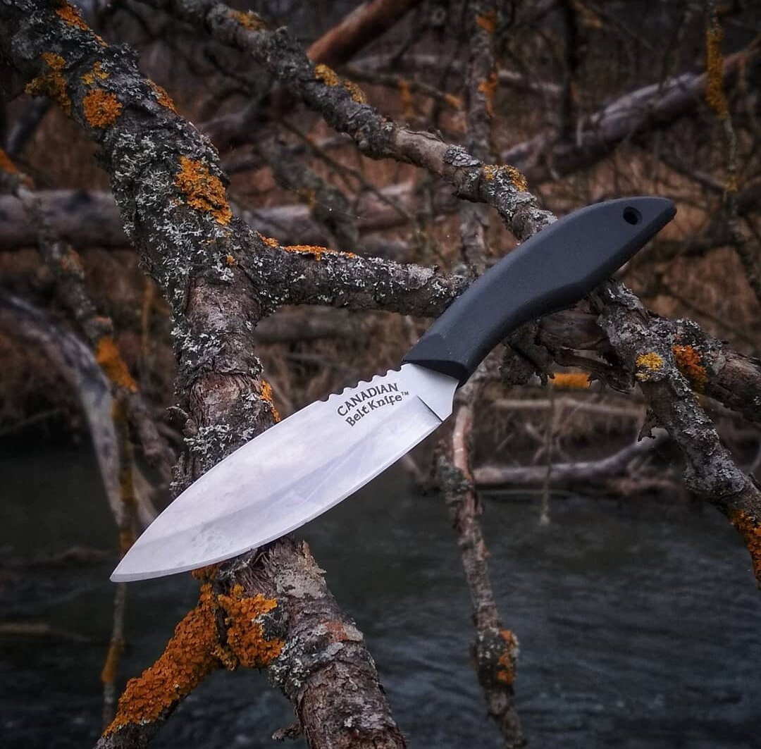 Фото взято из https://www.instagram.com/p/B5p441Wi1R7/?igshid=rg3d5admew11