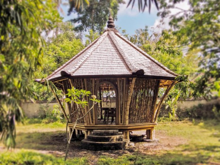 Фото: Этот круглый бамбуковый домик с округлой дверью, построенный в жилом комплексе Green Village, Элора использует в качестве конференц-зала. /Фото:ideas.ted.com