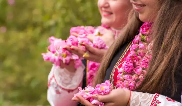 Жигули , Ладуванье