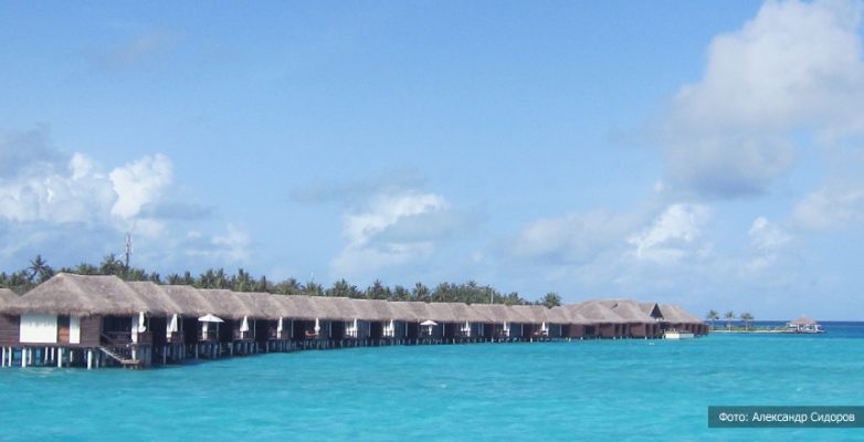 Бесподобные Мальдивы — филиал рая на земле курорты,Мальдивы,море