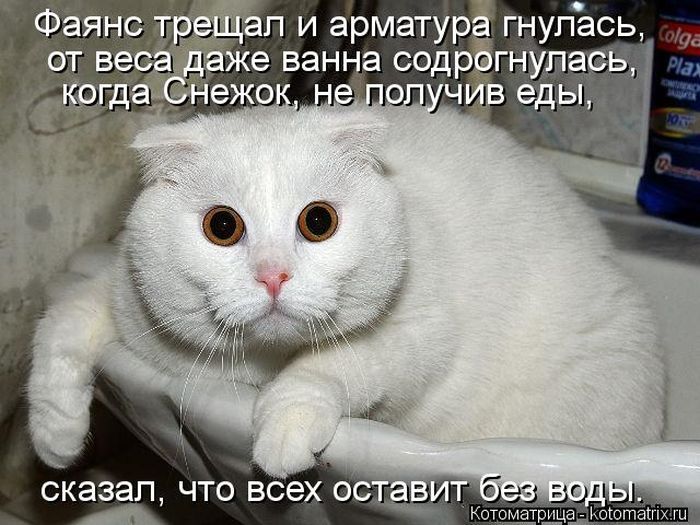 Мысли вслух
