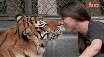 Девушки, которые смогут вас удивить смешные картинки