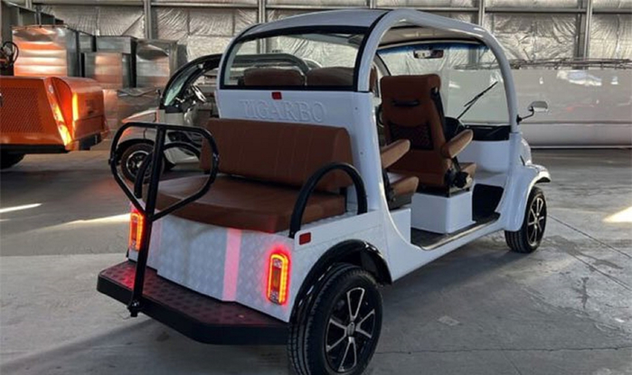 elecar-5e-tigarbo-dj2z (700x415, 255Kb)