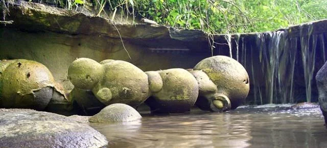 Трованты - камни, которые растут и размножаются во время дождей