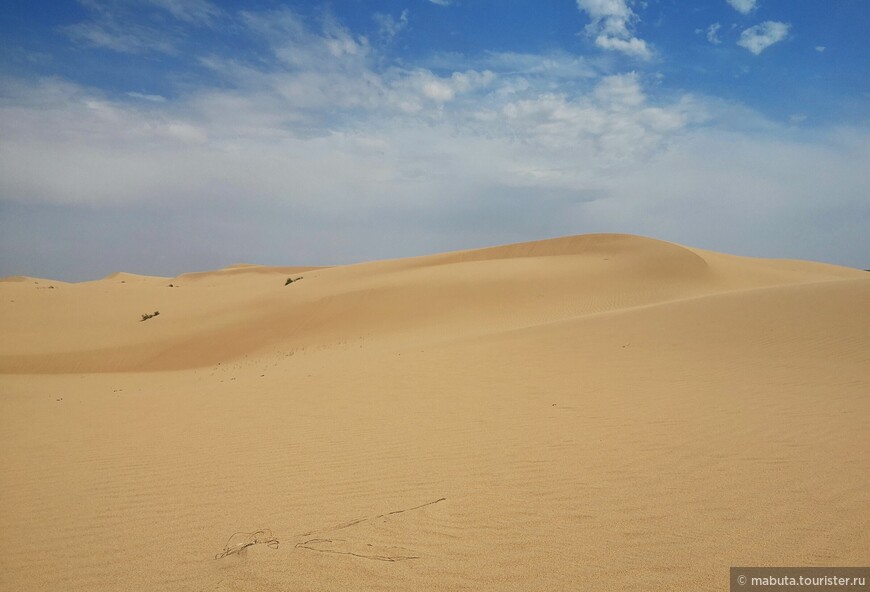 Там, где сбываются мечты поездка,путешествие,страны,туризм