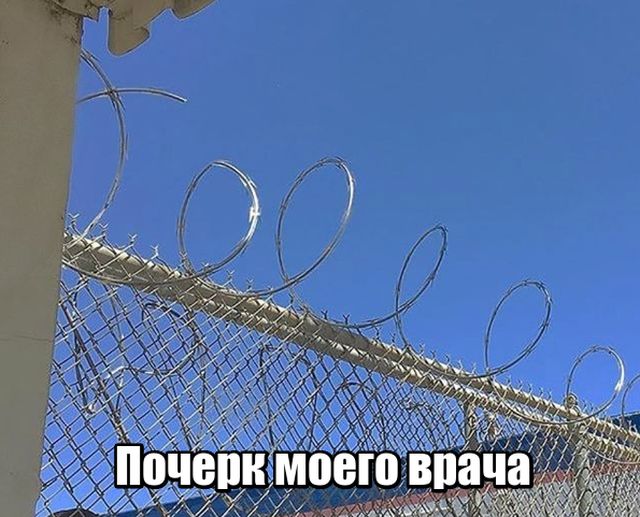 Подборка картинок