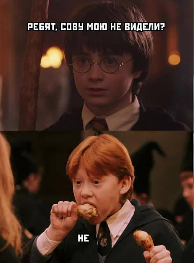 Смешные картинки с надписями и вегетарианские креветки 