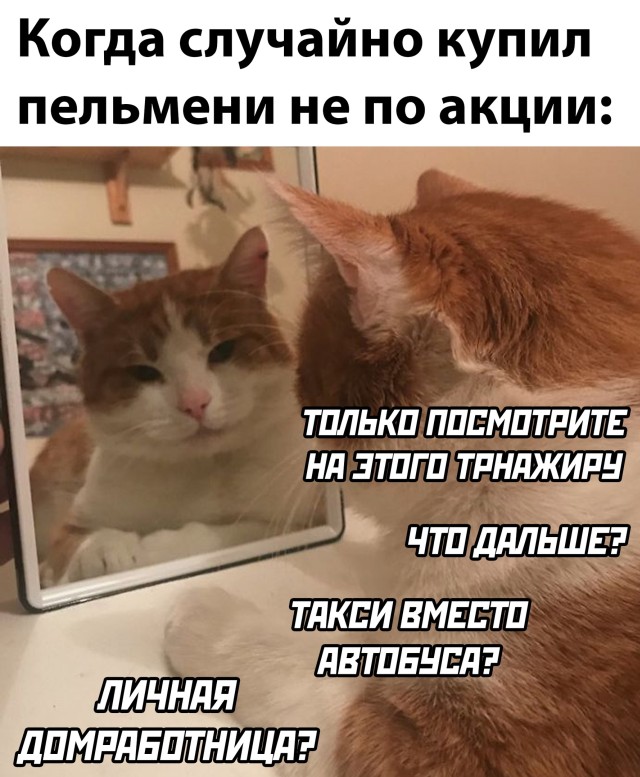 Подборка прикольных картинок приколы,смешные картинки,юмор