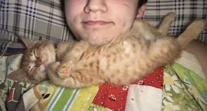 Люди, которые взяли домой котенка и по уши влюбились в это мелкое озорное чудо Люди, которые взяли домой котенка и по уши влюбились в это мелкое озорное чудо