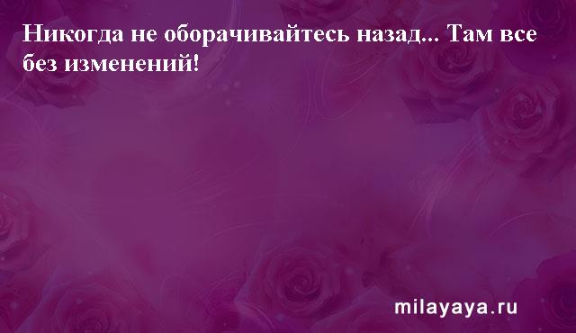 Картинки со статусами. Подборка milayaya-status-milayaya-status-03310529062020-1 картинка milayaya-status-03310529062020-1