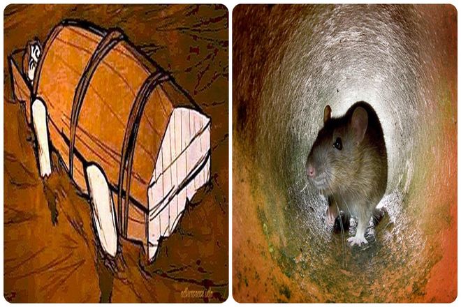 Чтобы полностью понять ужасы скафизма и то, почему он использовался, мы должны вернуться во времени в древнюю Персию, где он впервые появился.