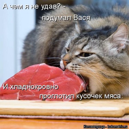 Апрельские котоматрицы