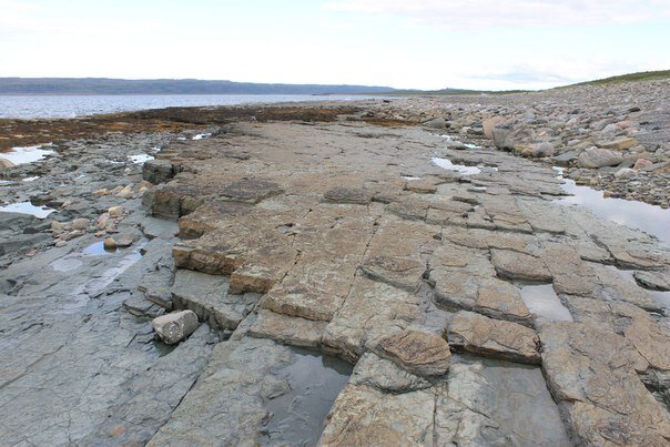 Берег около Мурманска