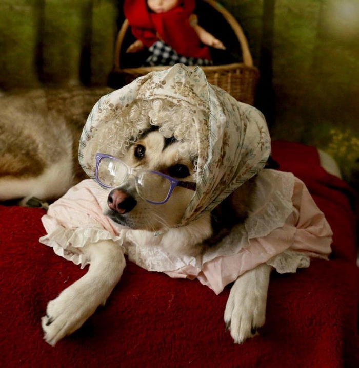 Фотоподборка вторника 27 ноября Фотоподборка вторника 27 ноября