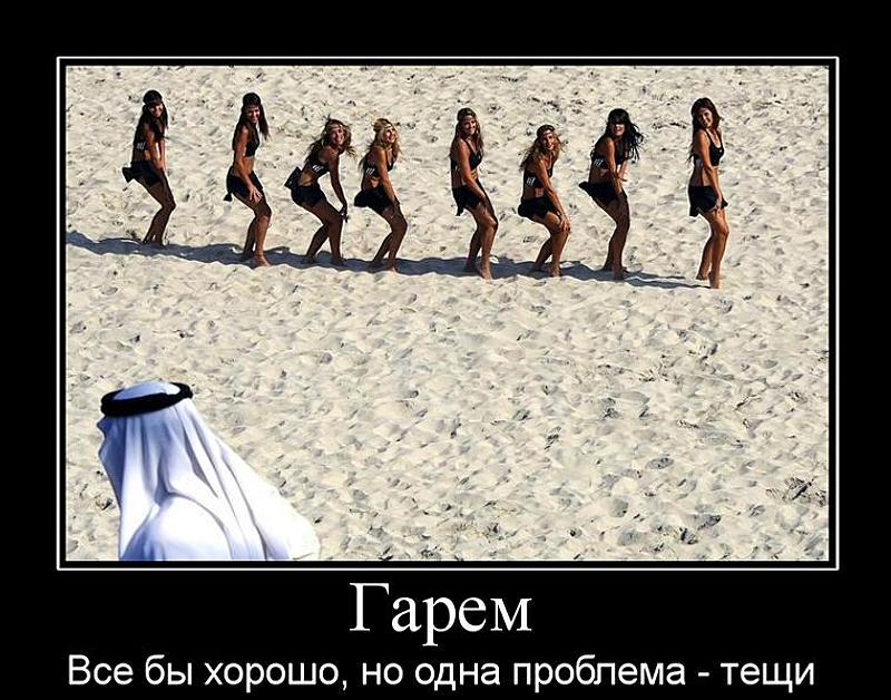 Прикольные картинки гарем и султан