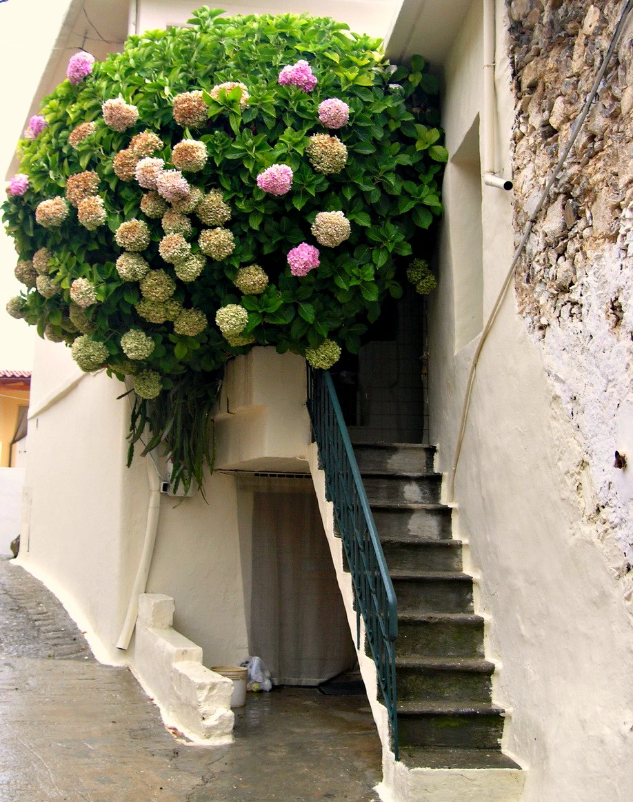 hanging gardens 35 Worlds Most Beautiful Balconies