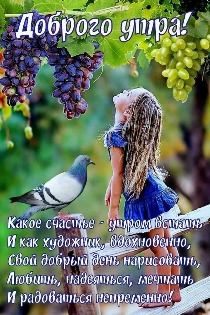 Огненная подборка новых анекдотов и шуток в картинках