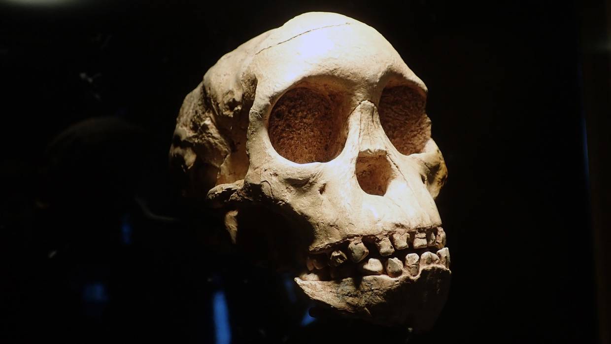 Ученые пересмотрели возраст найденных в Африке останков древнейшего Homo sapiens Весь мир