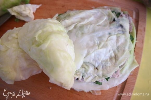 Капустный лист. Капустный лист.