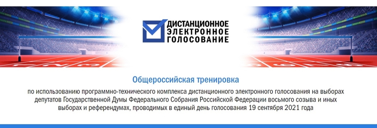 Твердо и четко: пять плюсов и полтора минуса дистанционного электронного голосования