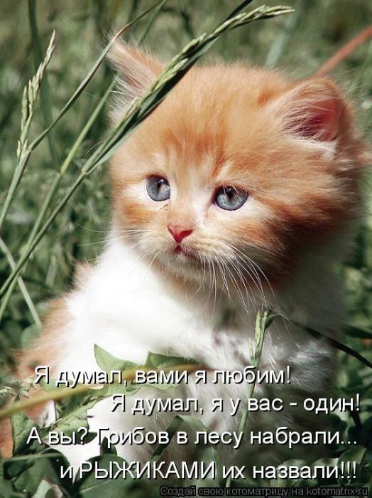 Мысли вслух :)